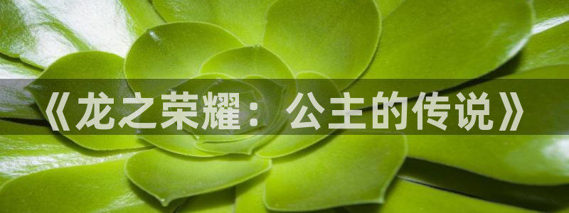 包子漫画网址：《龙之荣耀：公主的传说》